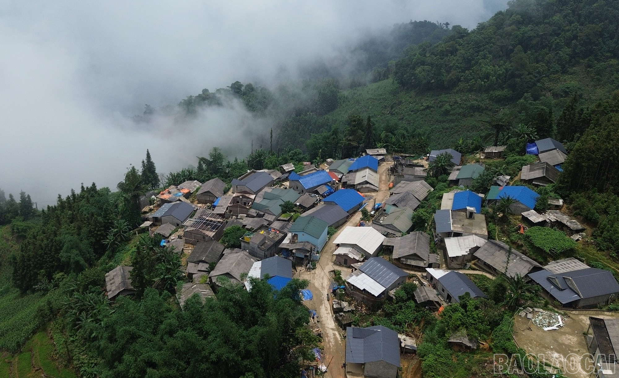 Bản làng vùng cao Tả Thàng khoác áo mới. baolaocai-br_dji-0884.jpg