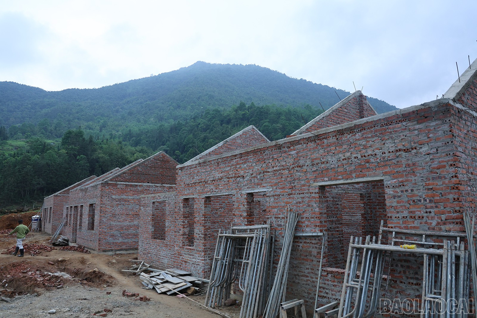 baolaocai-br_img-8009.jpg