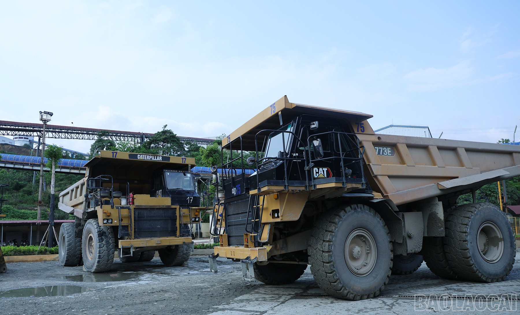 Chiều cao mỗi chiếc xe bằng một tầng nhà. baolaocai-br_img-7832.jpg