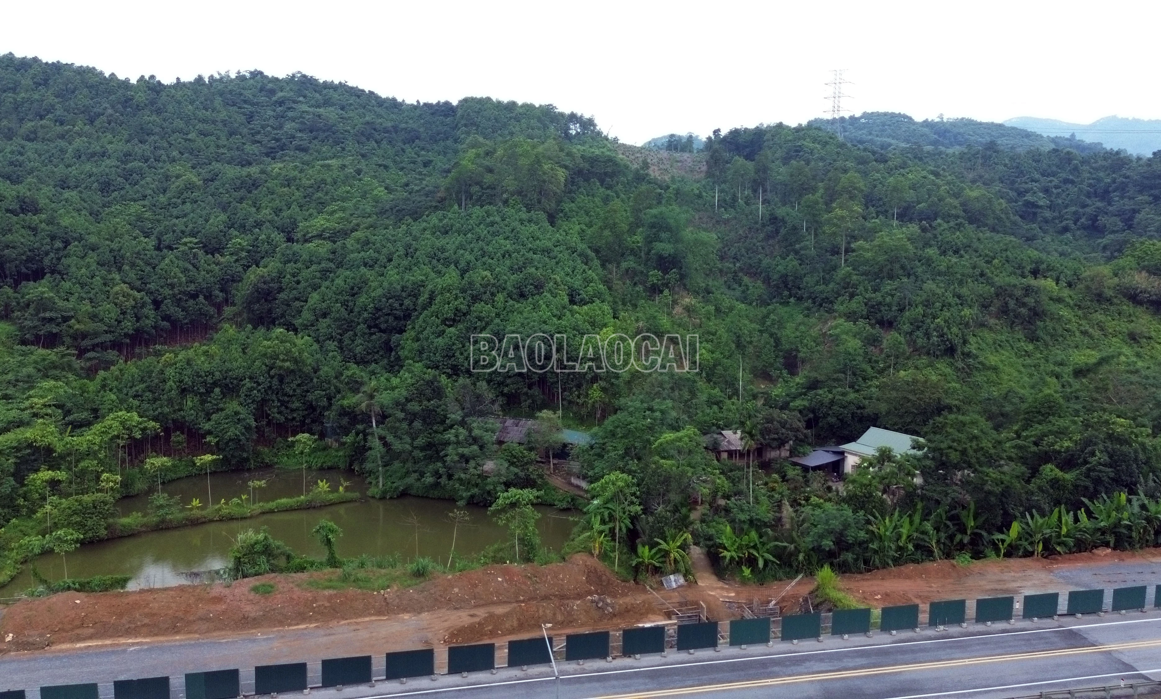 baolaocai-c_dji-0452.jpg