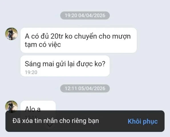 d4.jpg