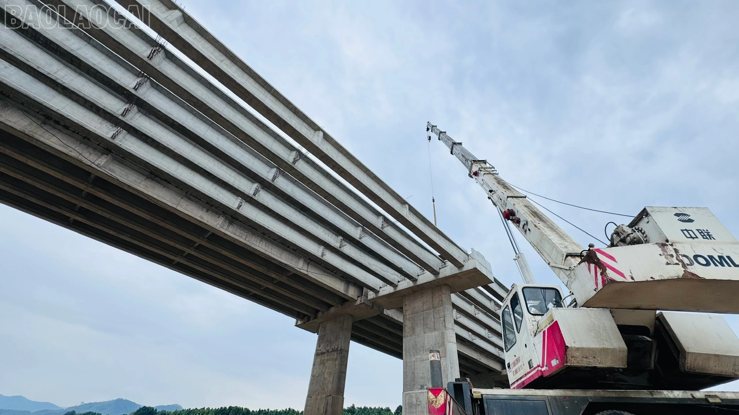 baolaocai-tl_1781146462655-3591045487977003884-3591045487977003884-4c291a4c081f5a9e8616e8320882b528.jpg