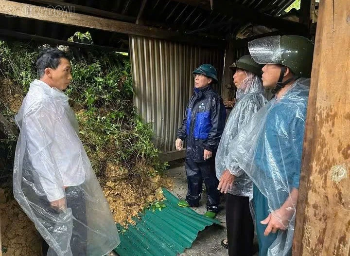 baolaocai-tl_1789623834140-1480233238704881971-4213115739232228046-18f1941d3a6bd936c85deb5733a0e739.jpg
