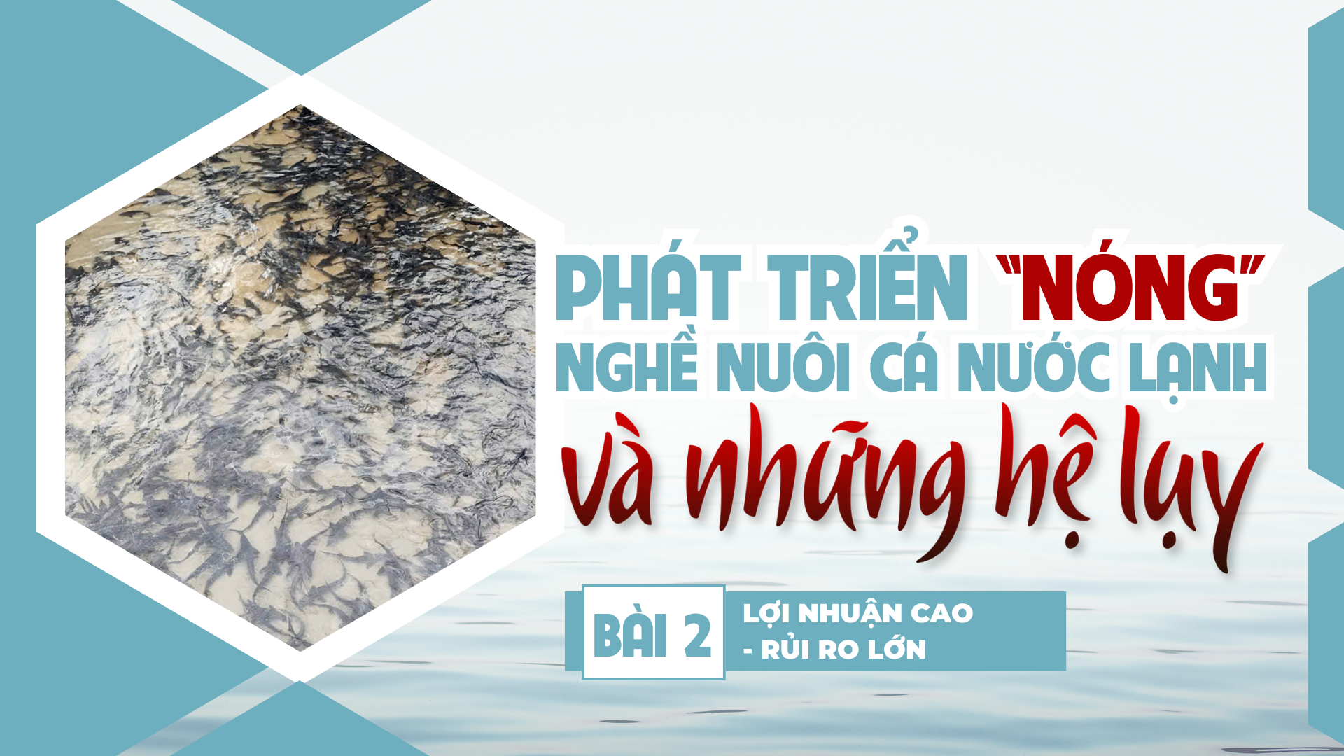 Bài 2: Lợi nhuận cao - rủi ro lớn 