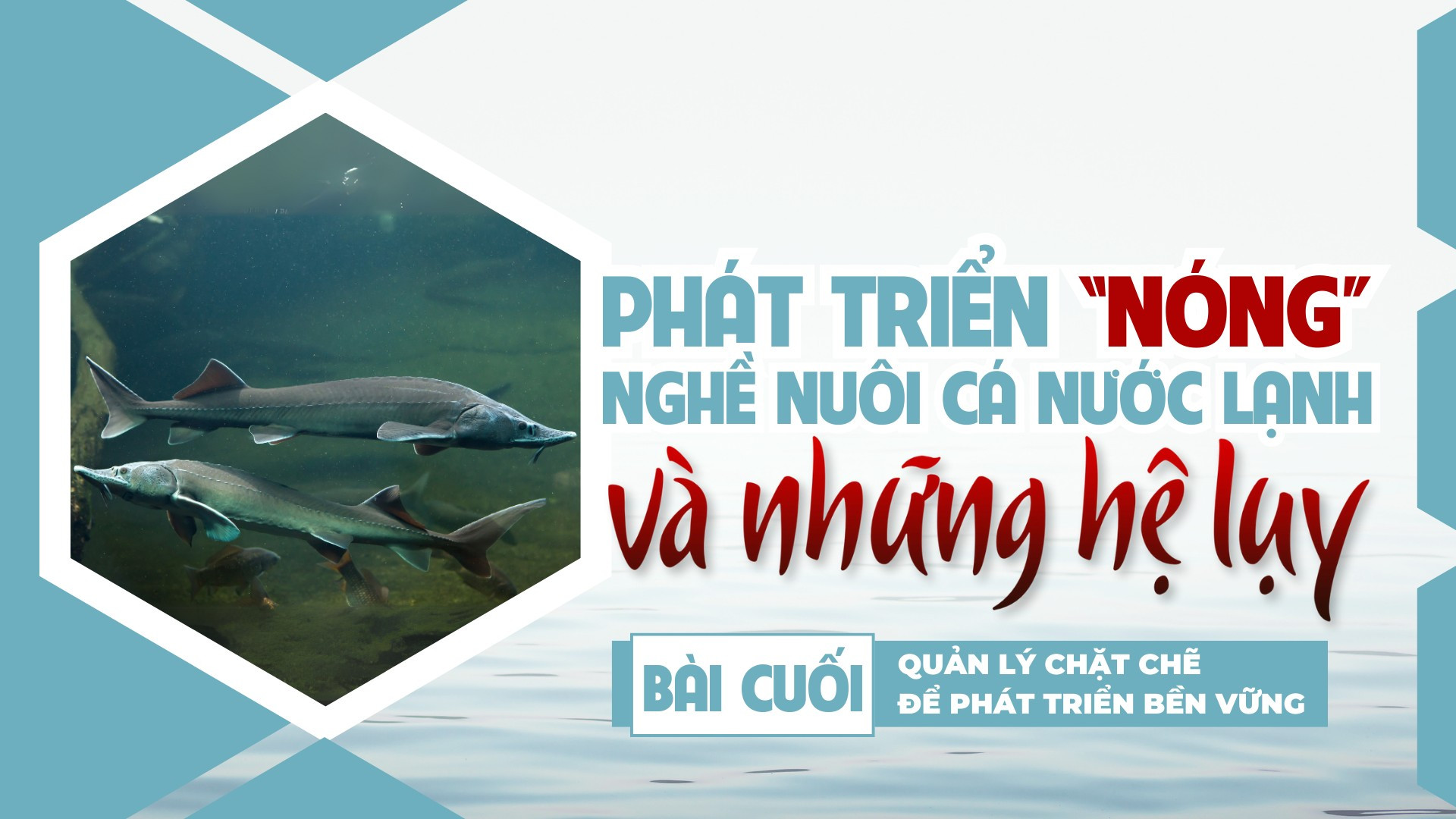 Bài cuối: Quản lý chặt chẽ để phát triển bền vững