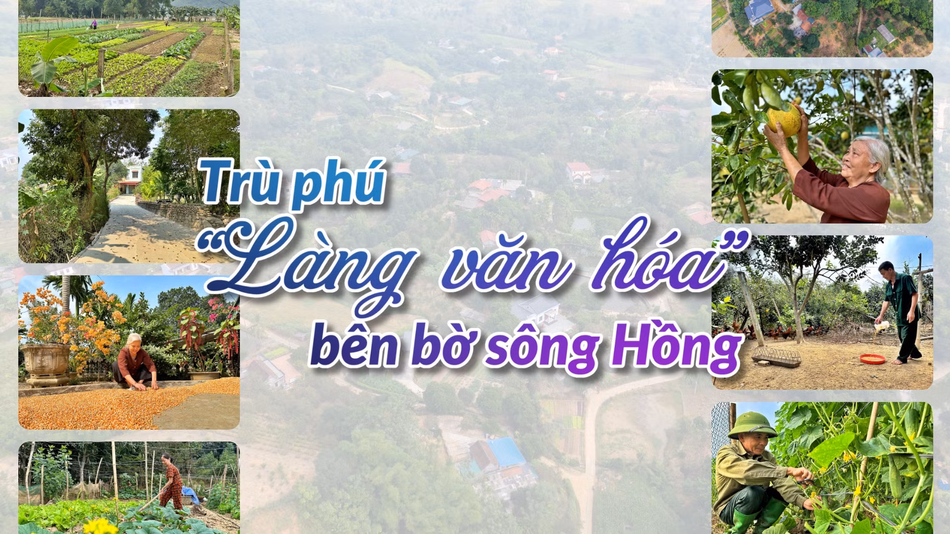 Trù phú “Làng văn hóa” bên bờ sông Hồng