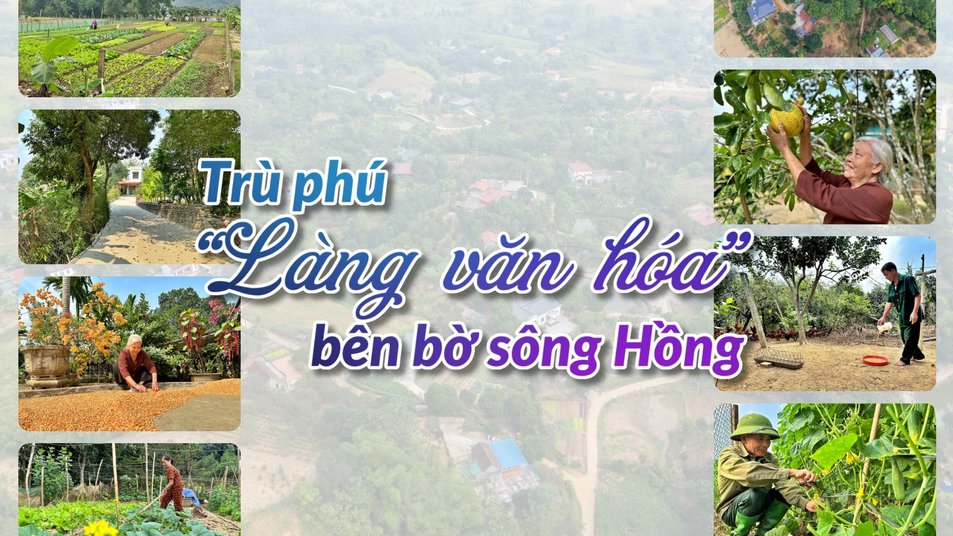 Trù phú “Làng văn hóa” bên bờ sông Hồng