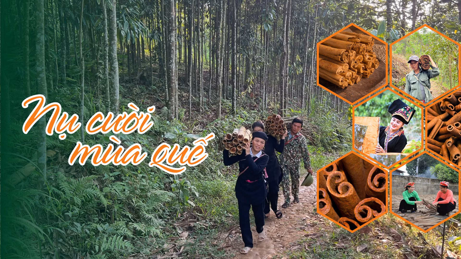 Nụ cười mùa quế