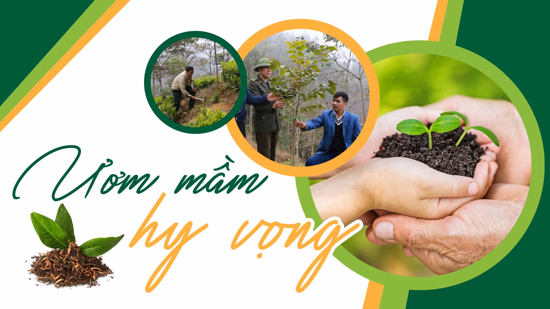 Ươm mầm hy vọng