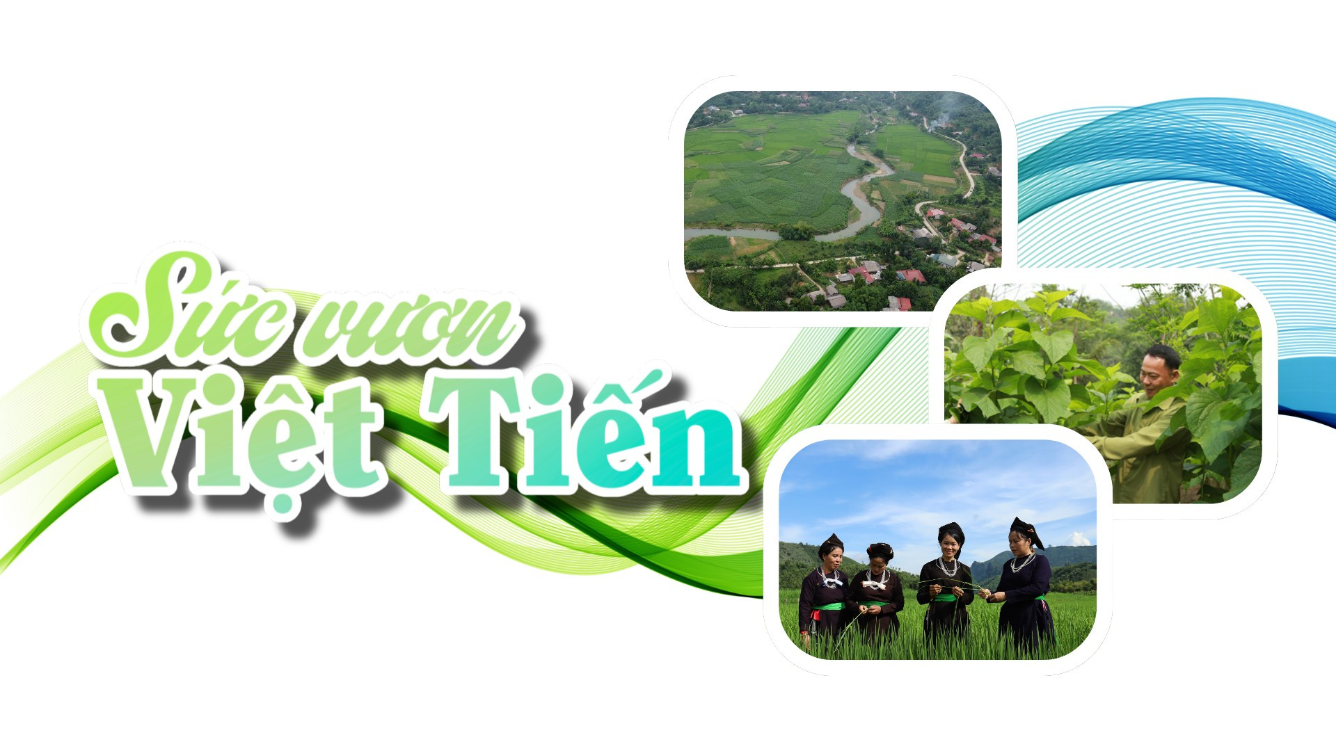 Sức vươn Việt Tiến