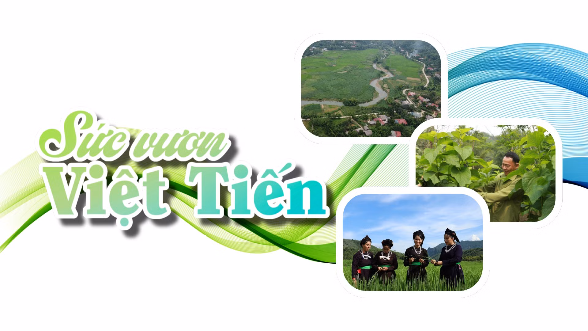 Sức vươn Việt Tiến