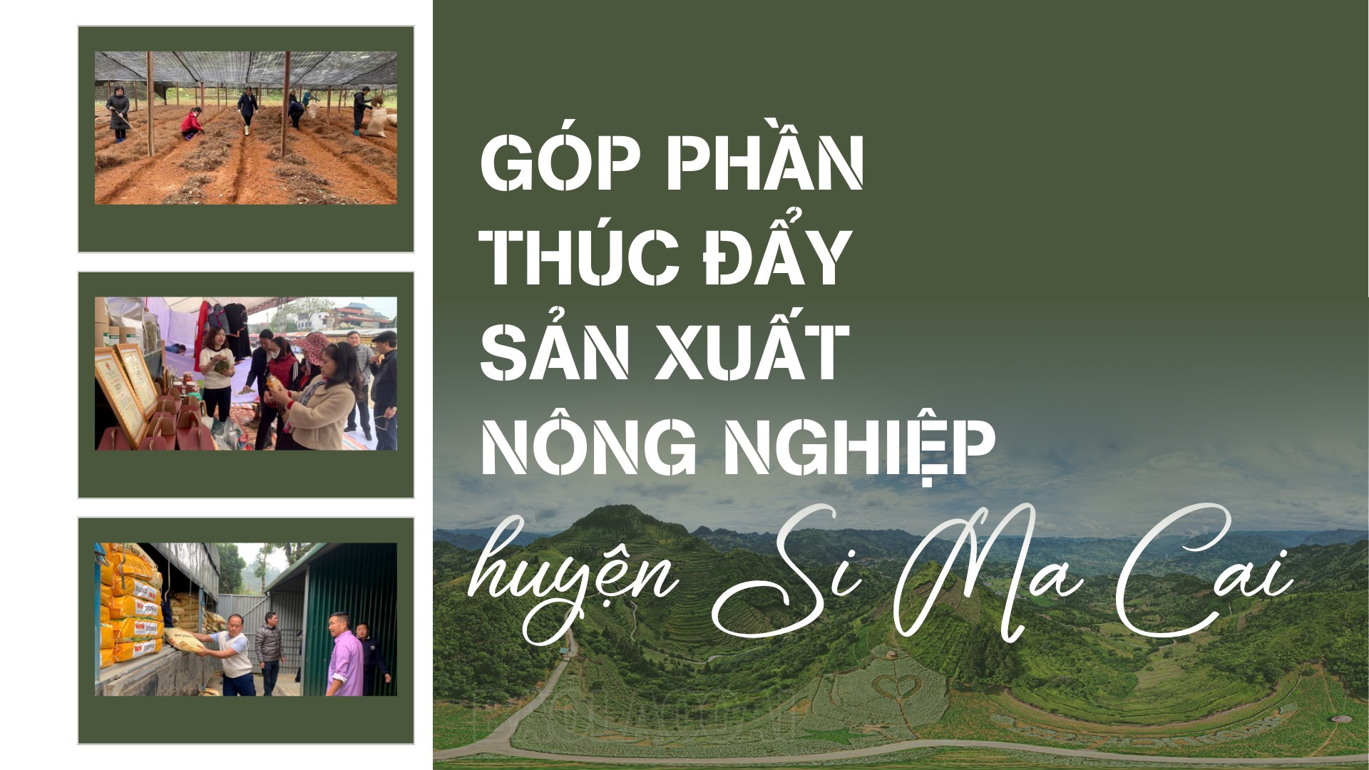 Góp phần thúc đẩy sản xuất nông nghiệp huyện Si Ma Cai