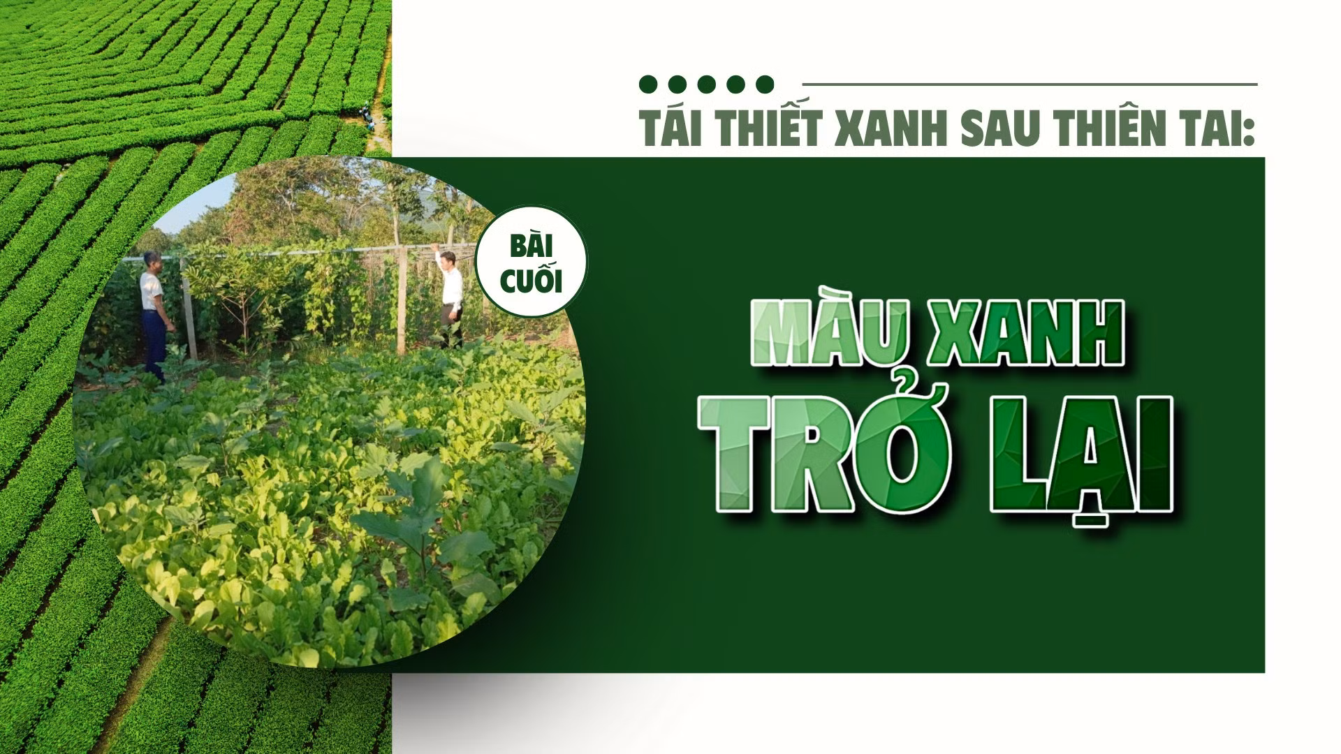 Bài cuối: Màu xanh trở lại