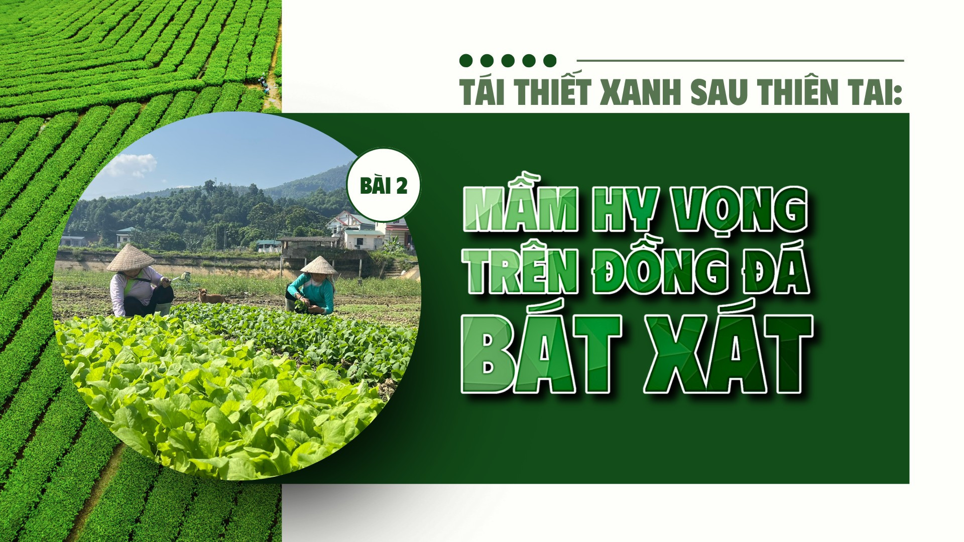 Bài 2: Mầm hy vọng trên đồng đất Bát Xát