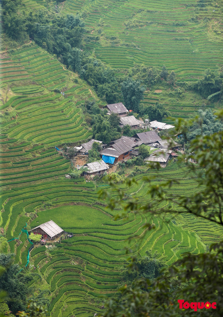 Nơi đây không chỉ đẹp vào mùa lúa chín, mùa nước đổ, mà một bức tranh xanh thẳm, mát mắt giữa những tháng hè oi ả cũng làm say đắm biết bao người.