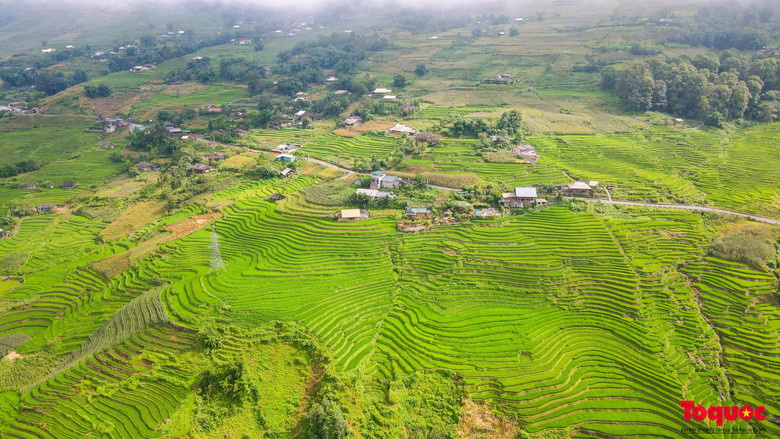 Nhìn từ trên cao, các thửa ruộng bậc thang trông vô cùng thích mắt.