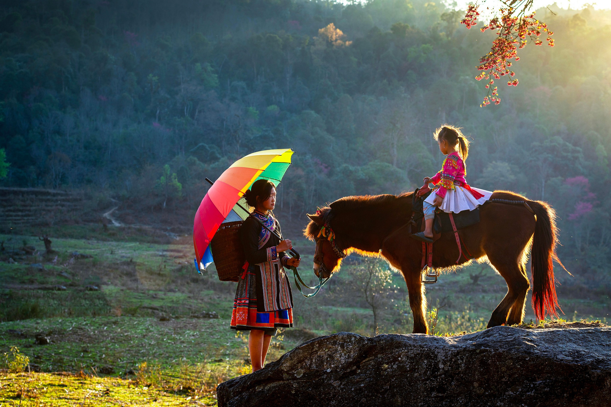 [Ảnh] Ngựa trong những bức ảnh mùa xuân