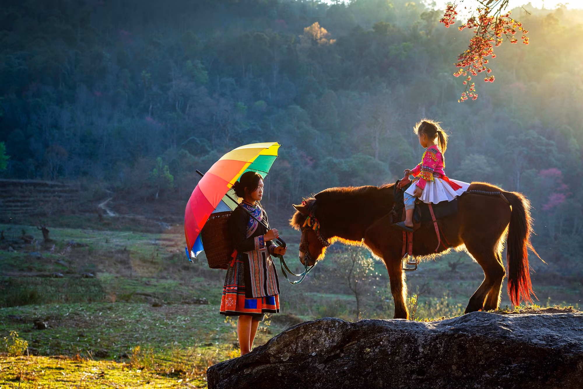 [Ảnh] Ngựa trong những bức ảnh mùa xuân