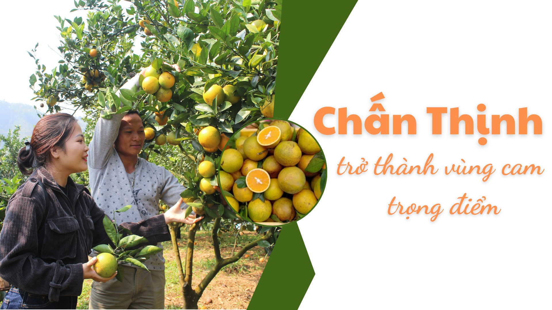 Chấn Thịnh trở thành vùng cam trọng điểm