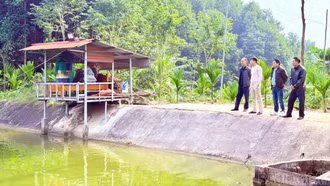 Về vùng quê kinh tế mới