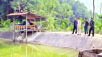 Về vùng quê kinh tế mới