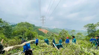 Sức trẻ “phủ xanh” trên Công trường Dự án 500kV Lào Cai - Vĩnh Yên