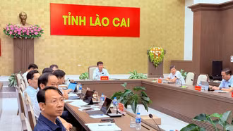 UBND tỉnh làm việc với các sở, ngành liên quan về phương án khắc phục, xử lý tình trạng ngập úng khu vực ven sông Hồng