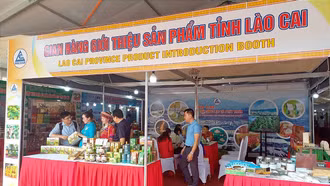 Thành lập Trung tâm Xúc tiến đầu tư, thương mại và hỗ trợ doanh nghiệp tỉnh Lào Cai