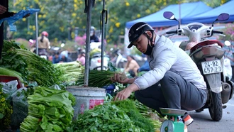 Thị trường thực phẩm, rau xanh ngày Tết 