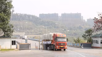Hải quan Cửa khẩu Quốc tế Lào Cai thu ngân sách đạt trên 526 tỷ đồng