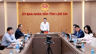 Tỉnh ủy Lào Cai công bố quyết định giám sát Ban Thường vụ Đảng ủy 8 xã, phường