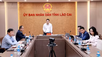 Tỉnh ủy Lào Cai công bố quyết định giám sát Ban Thường vụ Đảng ủy 8 xã, phường