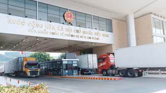 Hải quan Lào Cai xử phạt vi phạm hành chính trên 5,5 tỷ đồng