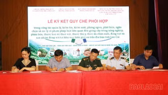 Lào Cai tăng cường phối hợp ngăn chặn dịch bệnh truyền lây xuyên biên giới trên vật nuôi