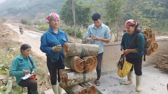 [Ảnh] Bắc Hà: Nhân lên các mô hình kinh tế do phụ nữ làm chủ