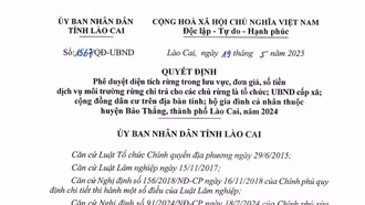 Phê duyệt hơn 108 tỷ đồng dịch vụ môi trường rừng 