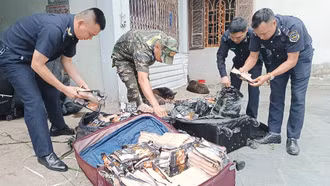 Thu giữ hơn 2,5 tấn thực phẩm đông lạnh nhập lậu