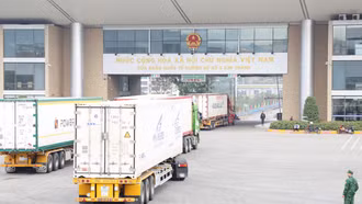 Hải quan Khu vực VII thu ngân sách 4 tháng đầu năm đạt 545 tỷ đồng