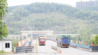 Gần 340 xe thông quan qua Cửa khẩu Kim Thành