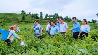 Agribank Mường Khương - điểm tựa vốn cho phát triển nông nghiệp hàng hóa