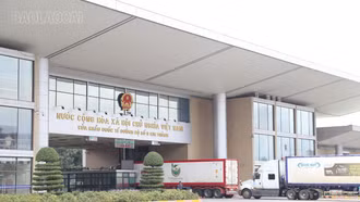 Lào Cai: Thu ngân sách từ xuất - nhập khẩu đạt hơn 2.170 tỷ đồng