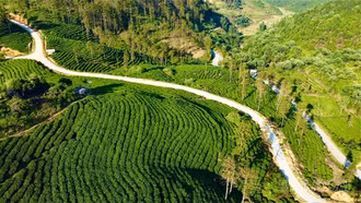 Nông dân Lào Cai phát huy vai trò chủ thể trong phát triển nông nghiệp và xây dựng nông thôn mới