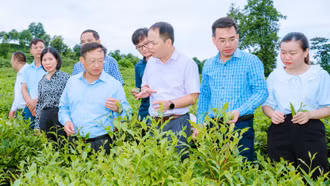 Điểm tựa vững chắc cho nông nghiệp và nông thôn mới