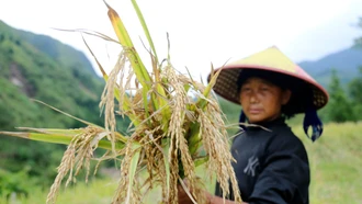 Nậm Pung - Nơi con lũ đi qua 