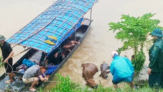 Bảo Thắng: Phát huy phương châm “4 tại chỗ” khắc phục hậu quả lũ dữ 