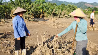 Cả làng hối hả đi cứu na