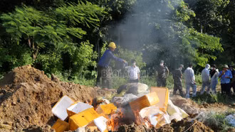 Lào Cai tiêu hủy hơn 10 tấn thực phẩm đông lạnh nhập lậu