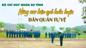 Bộ Chỉ huy Quân sự tỉnh: Nâng cao hiệu quả huấn luyện dân quân tự vệ