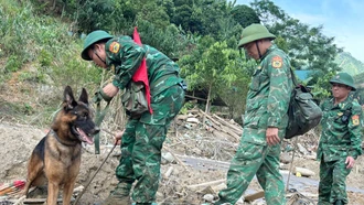 [Ảnh] Cận cảnh chó nghiệp vụ “tác nghiệp” tại Nậm Tông