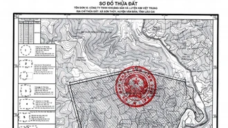 Thu hồi hơn 460 ha đất của Công ty TNHH Khoáng sản và Luyện kim Việt Trung